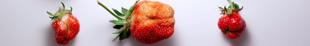 misshapen fruits to help depict body dissatisfaction