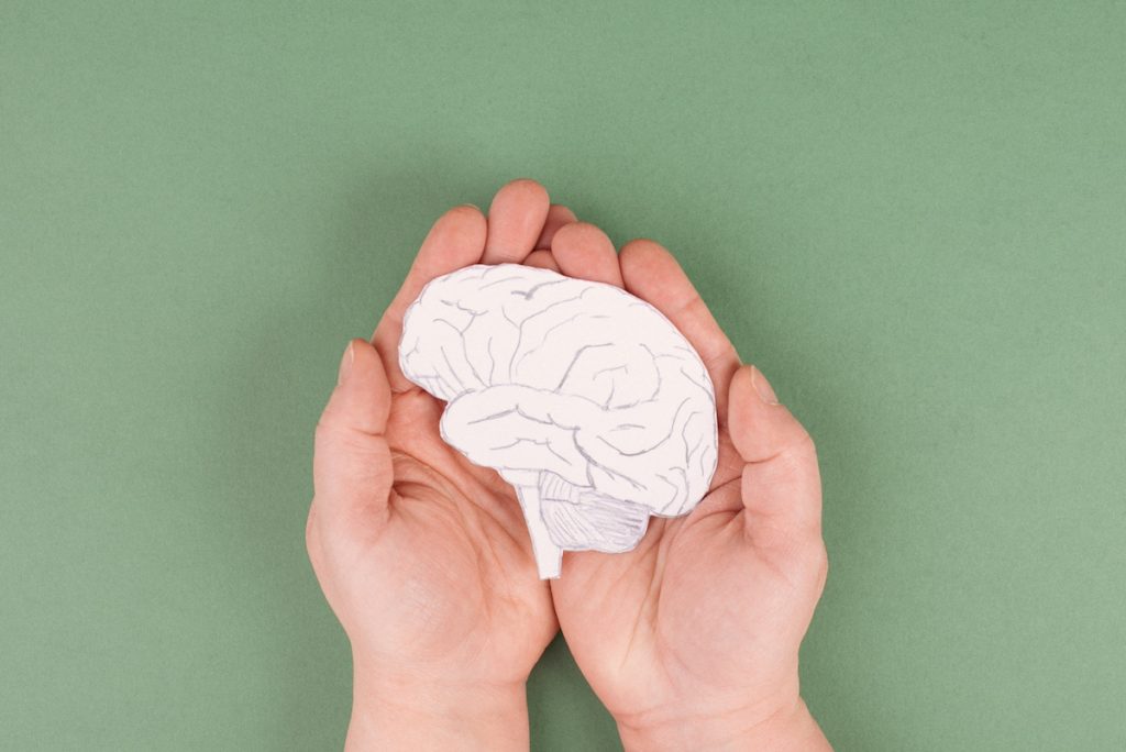 hands holding a brain drawn in pencil