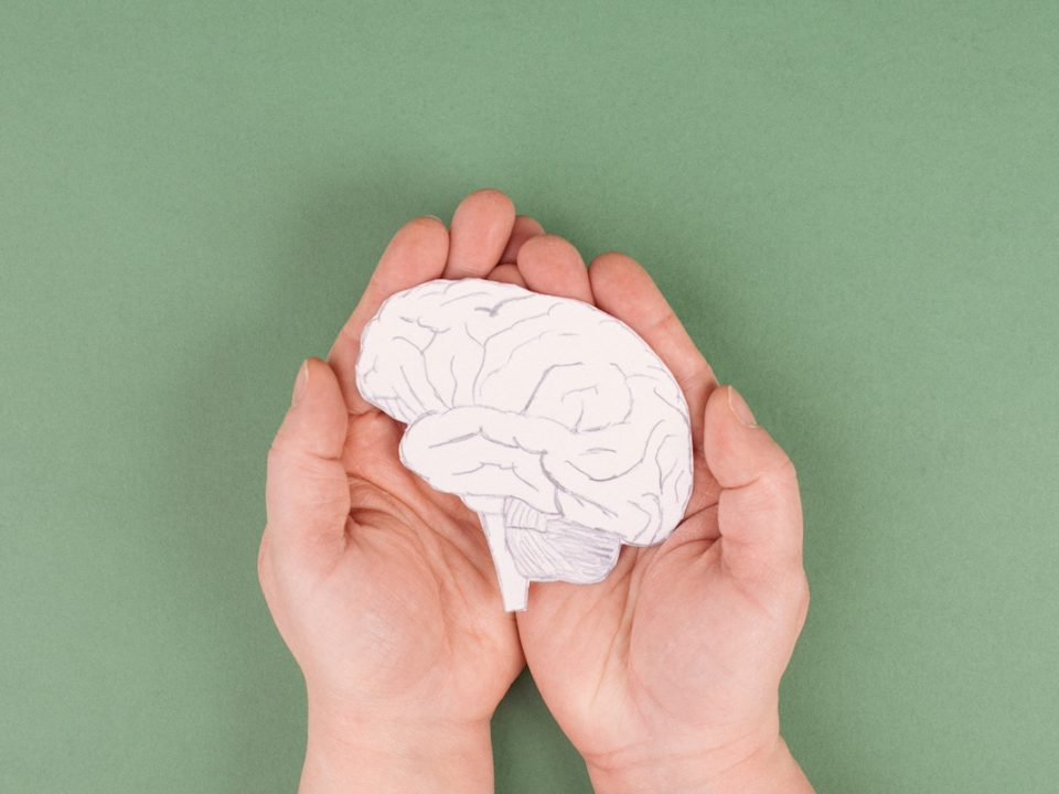 hands holding a brain drawn in pencil